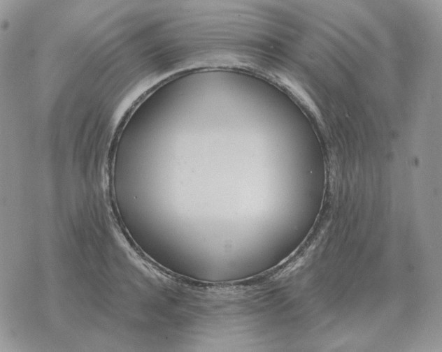 X0000071350944200607212054