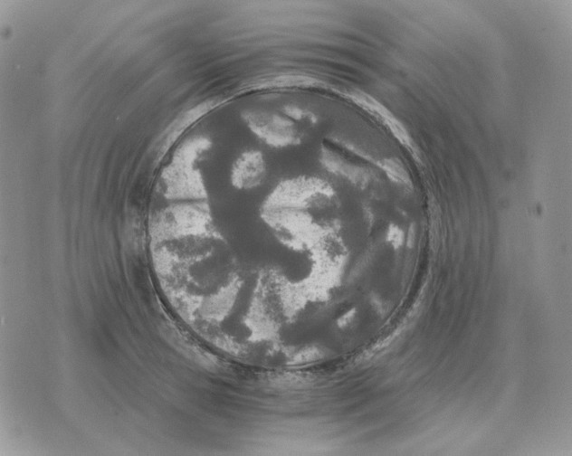 X0000071350945200607212054