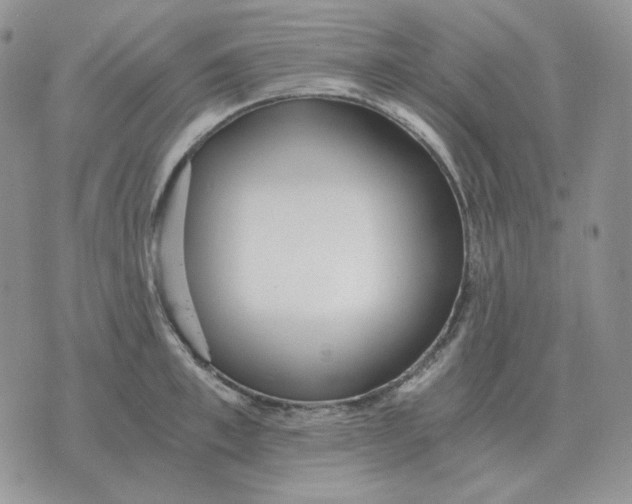 X0000071350997200607212052