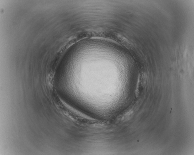 X0000071351010200607212051