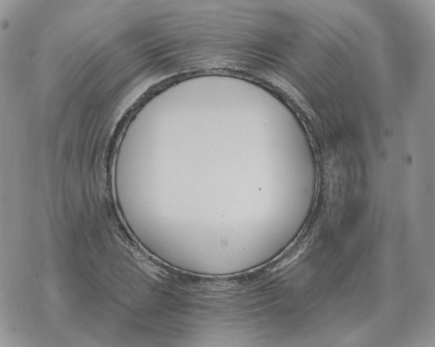 X0000071351023200607212052