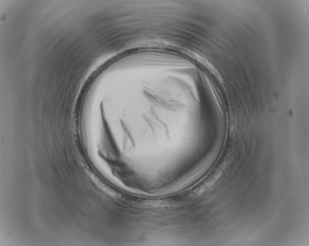 X0000071351037200607212052