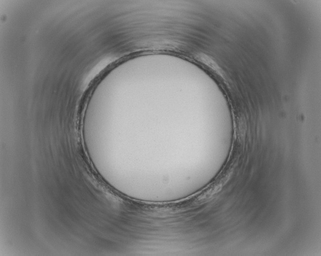 X0000071351071200607212051