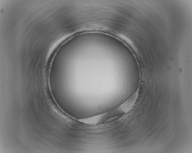 X0000071351120200607212050