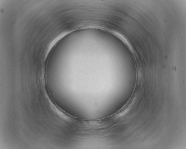 X0000071351149200607212051
