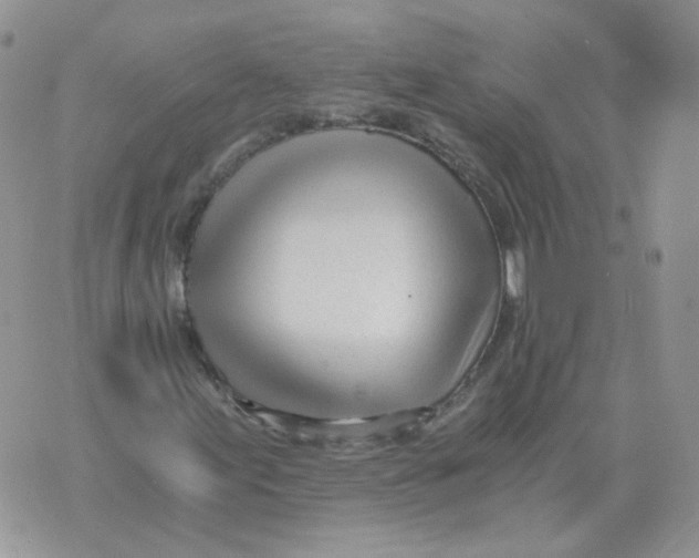 X0000071351155200607212050