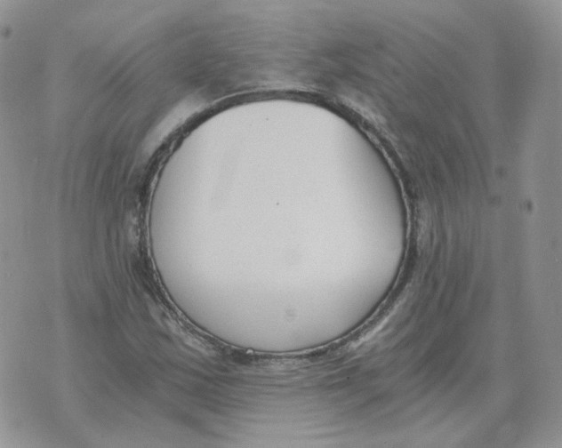 X0000071351163200607212050
