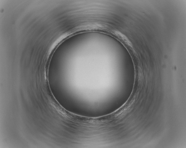 X0000071351226200607212049