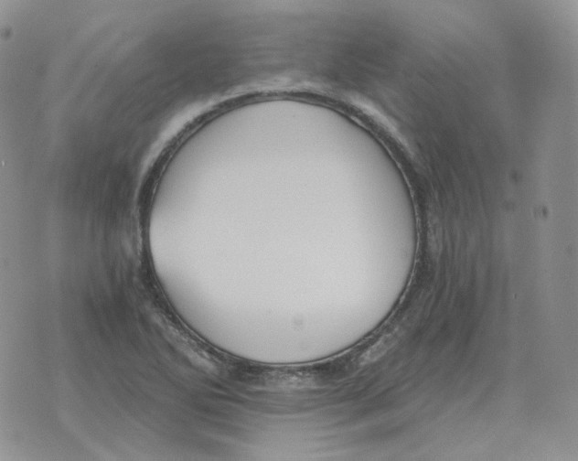 X0000071351270200607212048