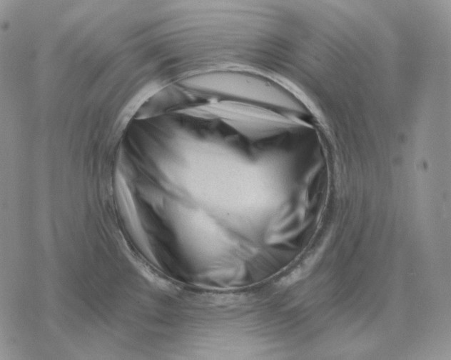 X0000071351289200607212048