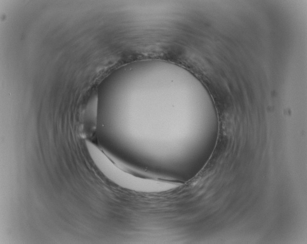 X0000071351298200607212047