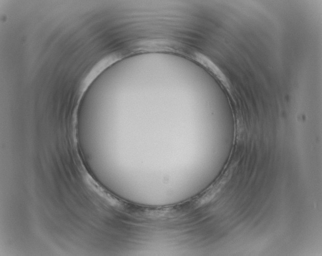 X0000071351386200607212046
