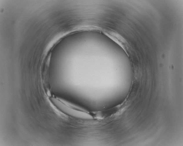 X0000071351430200607212046