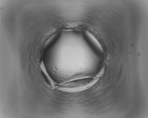 X0000071351441200607212045