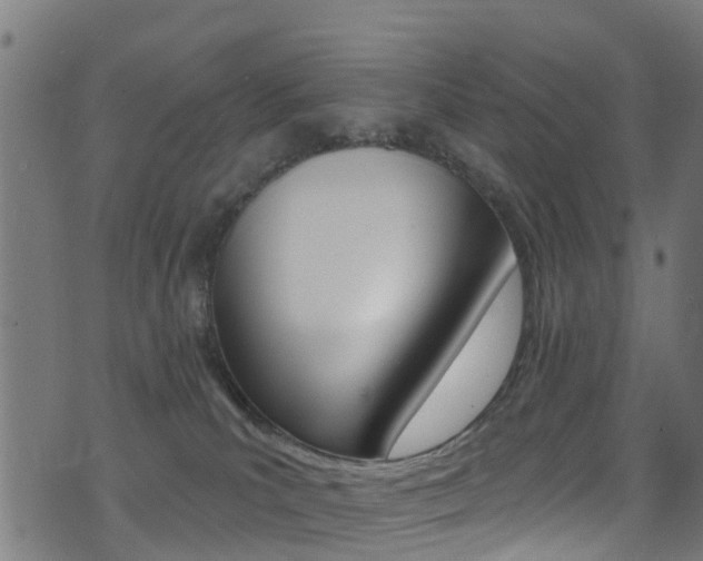 X0000071360039200606230848