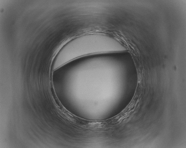 X0000071360052200606230848