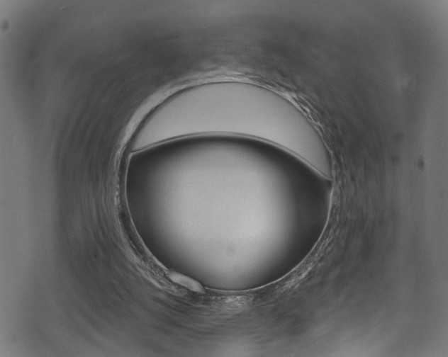 X0000071360056200606230848