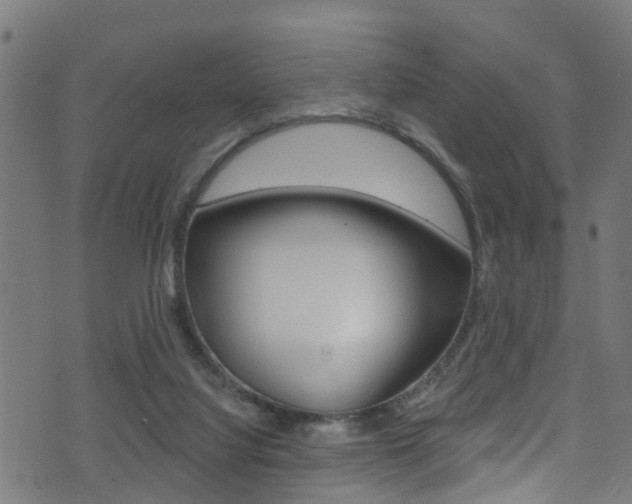 X0000071360068200606230848