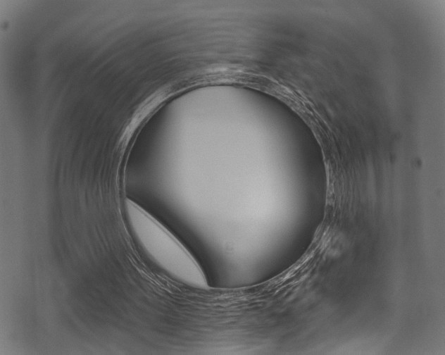X0000071360099200606230847