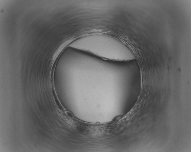 X0000071360147200606230846