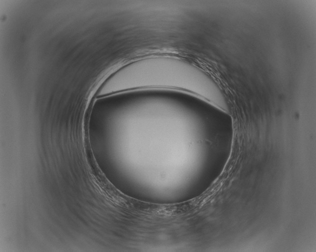 X0000071360148200606230846