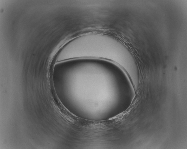 X0000071360150200606230846