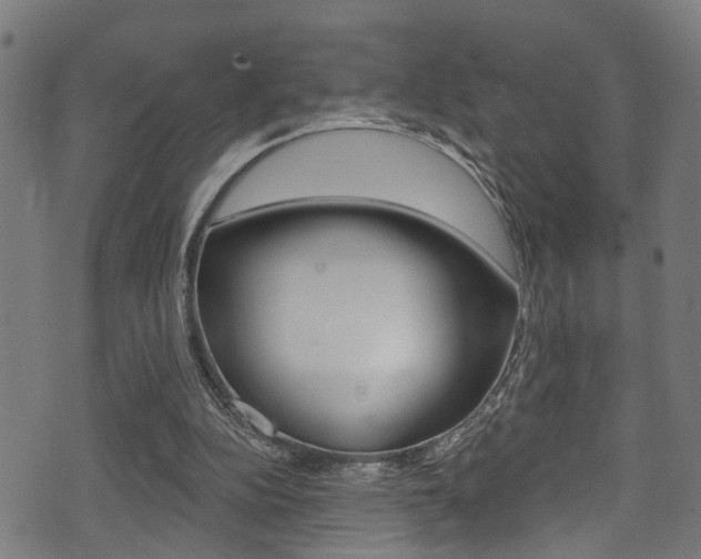 X0000071360152200606230846