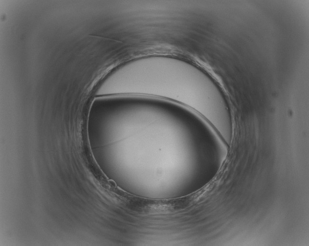 X0000071360154200606230846