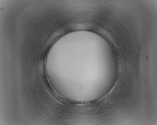 X0000071360167200606230846