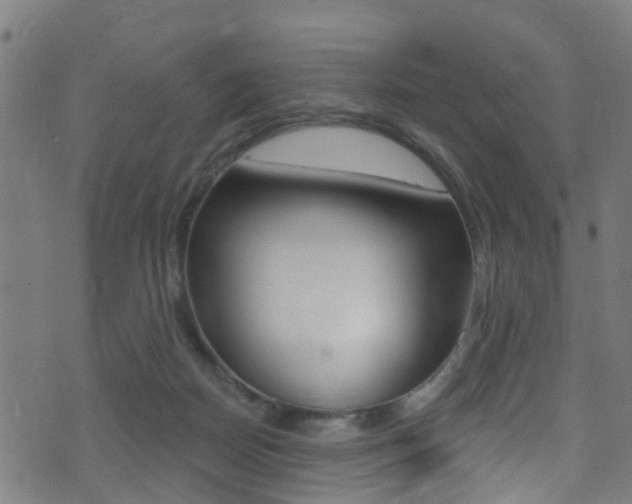 X0000071360170200606230846