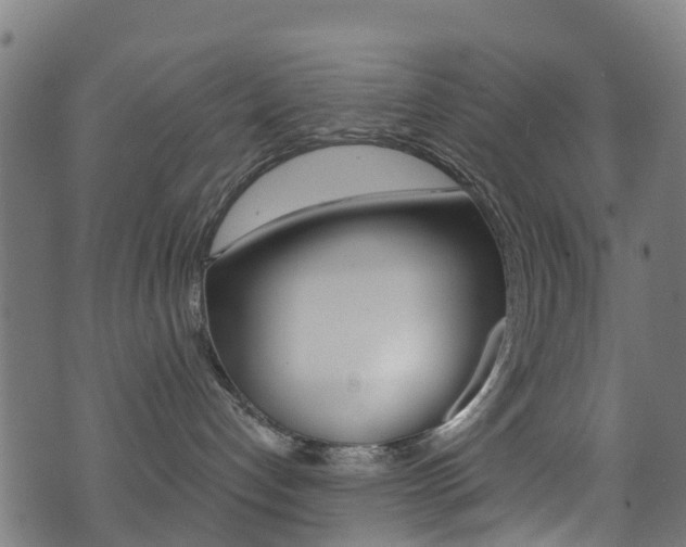 X0000071360192200606230847