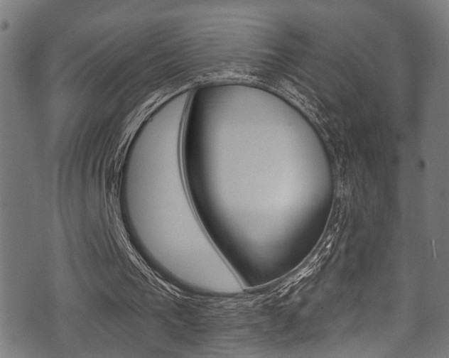 X0000071360193200606230846