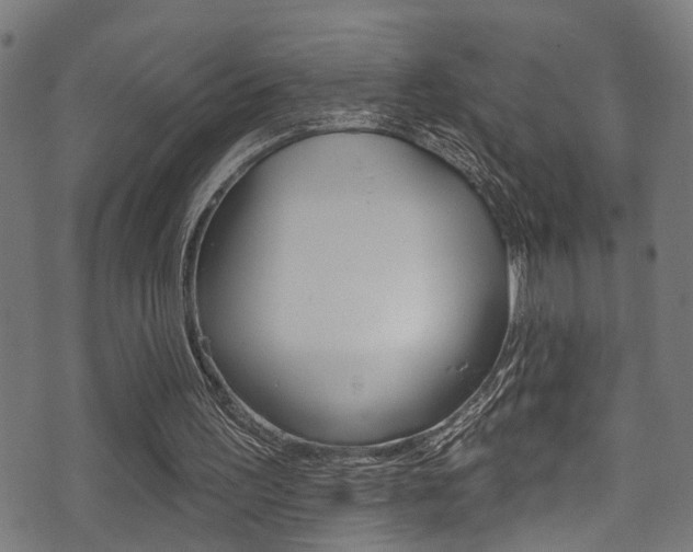 X0000071360195200606230846
