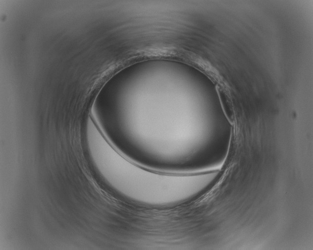 X0000071360201200606230846