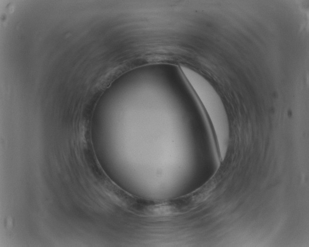 X0000071360219200606230846