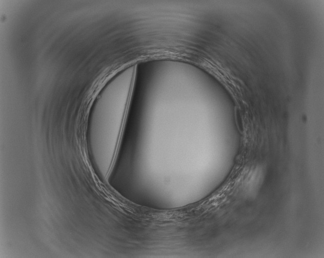 X0000071360241200606230844