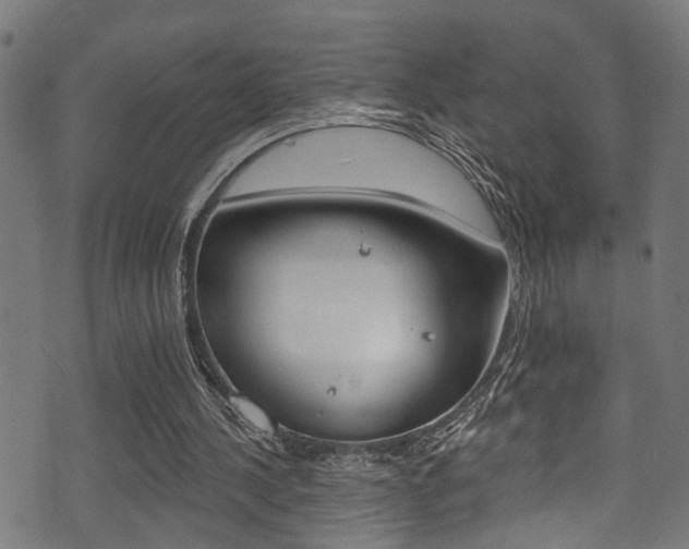 X0000071360244200606230844