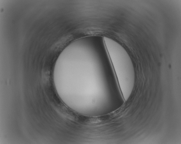 X0000071360263200606230845