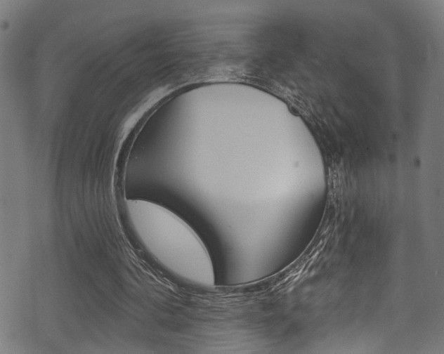 X0000071360292200606230844