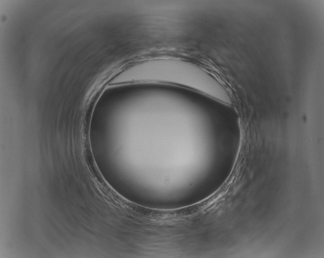 X0000071360293200606230844