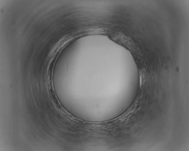 X0000071360339200606230843