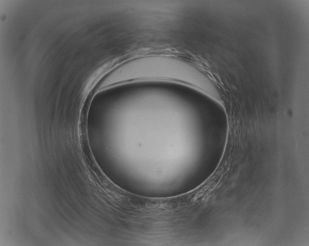X0000071360340200606230843