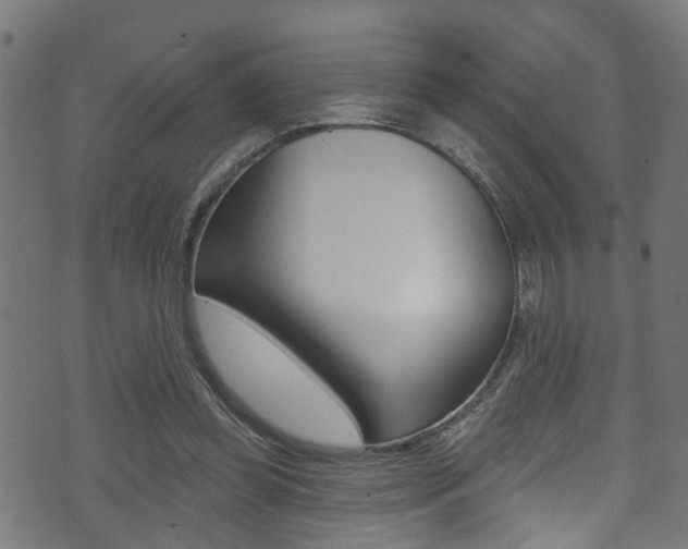 X0000071360349200606230843