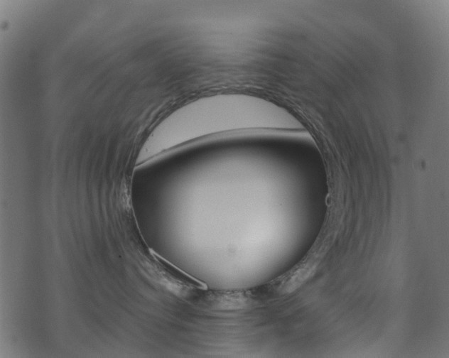 X0000071360384200606230844