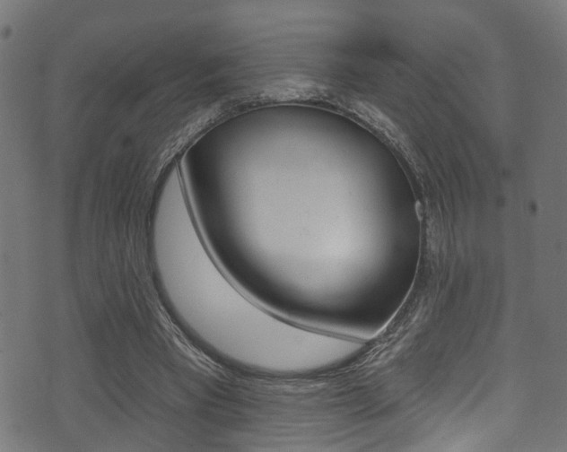 X0000071360393200606230843