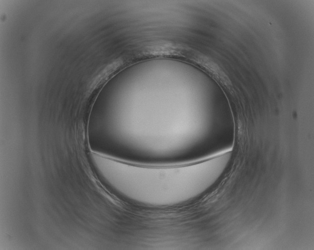 X0000071360397200606230843