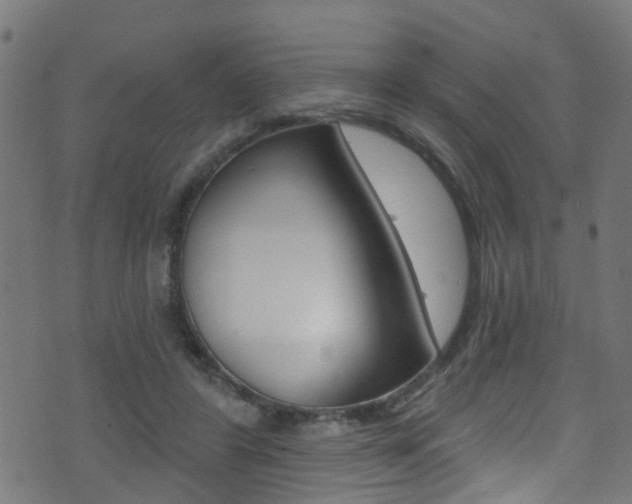 X0000071360404200606230843
