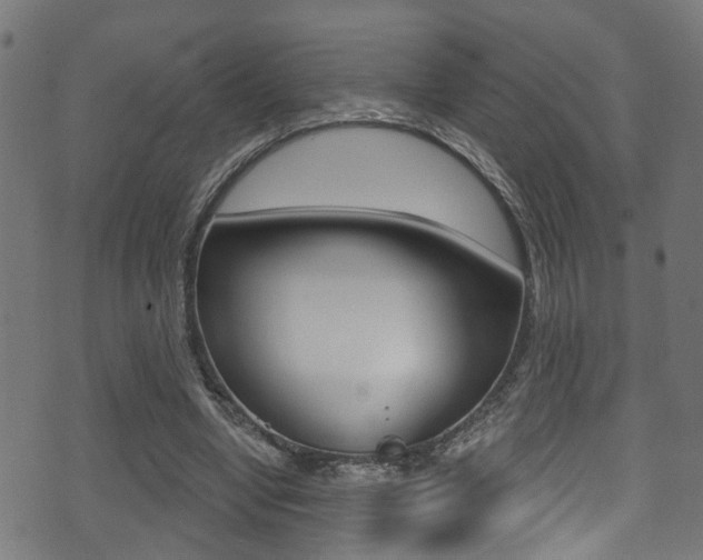 X0000071360442200606230841