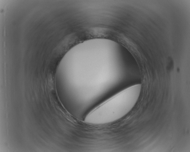 X0000071360465200606230842