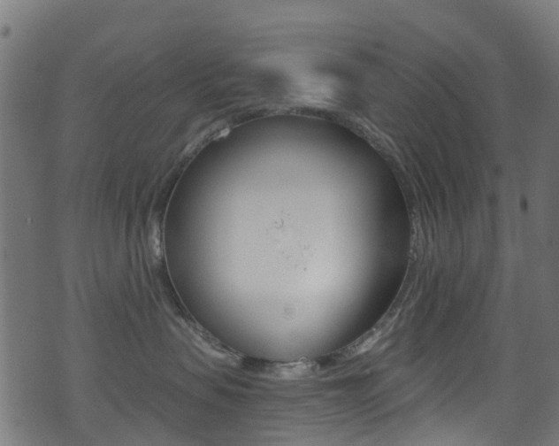 X0000071360479200606230842